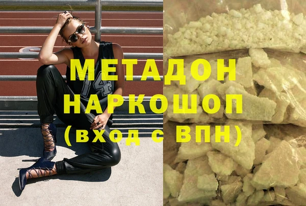 индика Каменка