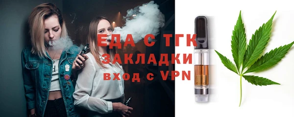 индика Каменка