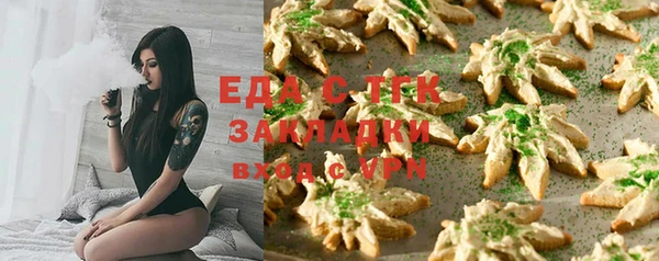 индика Каменка