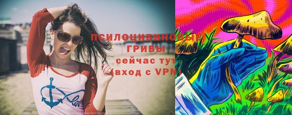 таблы Каменногорск