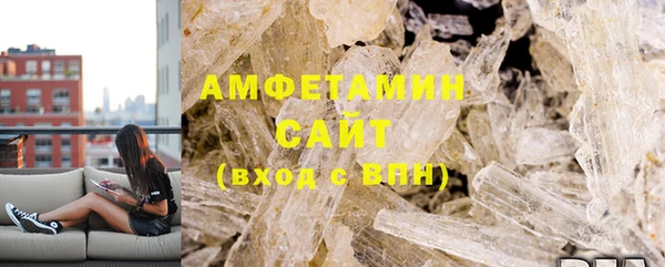индика Каменка