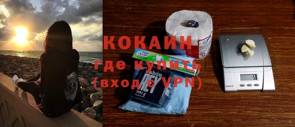 индика Каменка