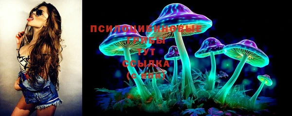 индика Каменка