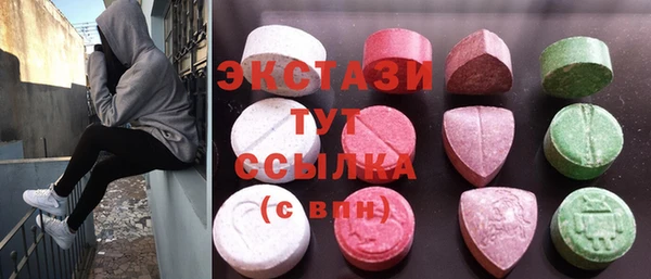 индика Каменка