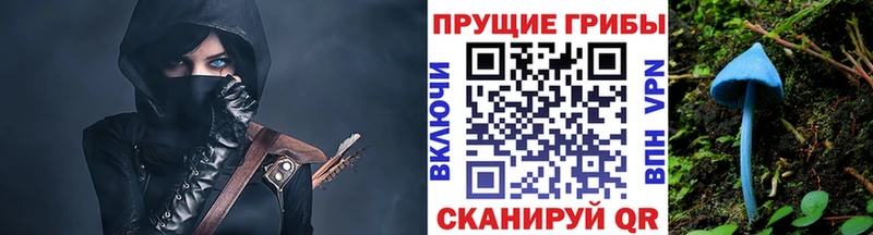 Псилоцибиновые грибы мицелий  Купить где  Добрянка 